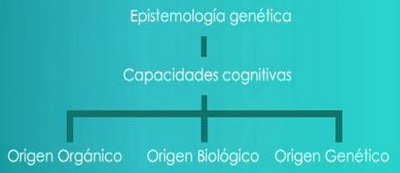 Epistemología Genetica